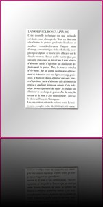 l'Officiel de la chirurgie esthetique F&eacute;vrier 2008